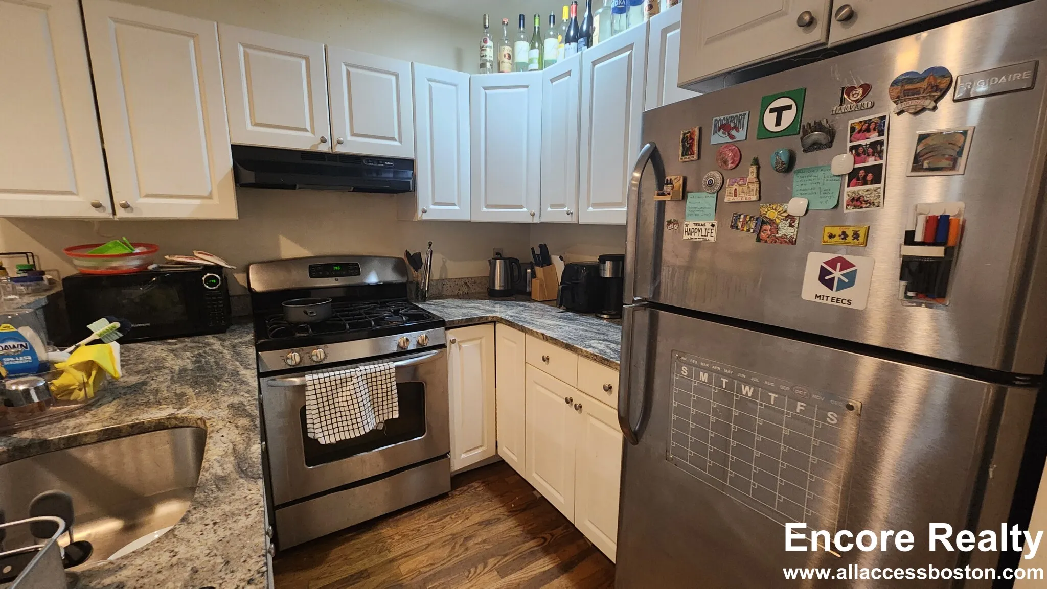 66 Egmont St, North Brookline