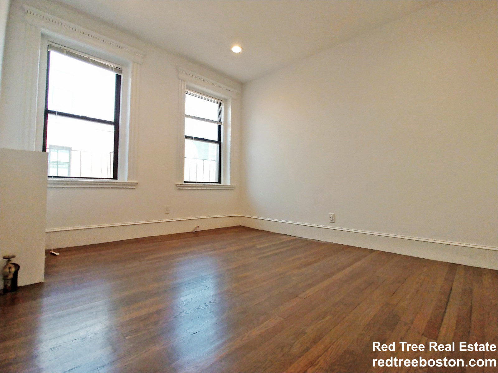 19 Peterborough St, Fenway