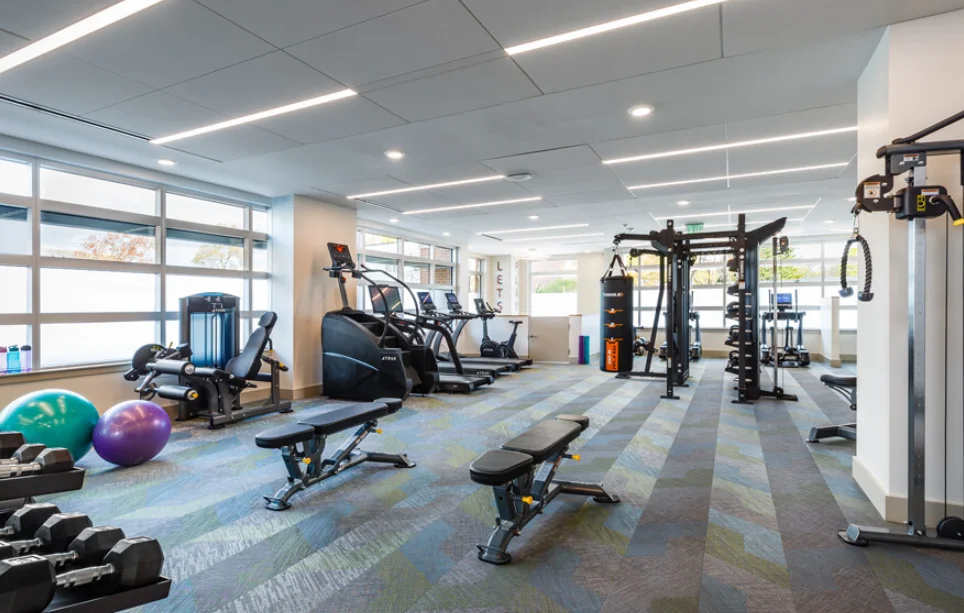 201 Sherman Rd, Chestnut Hill