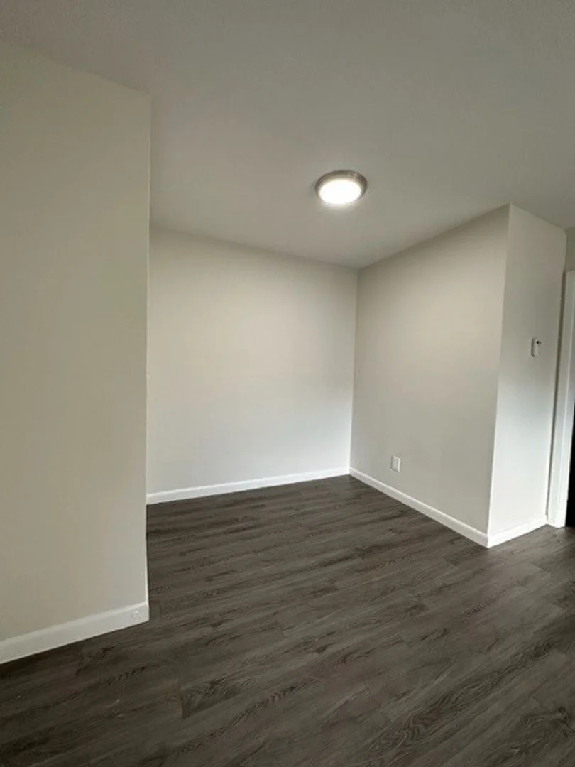 731 River St, Hyde Park