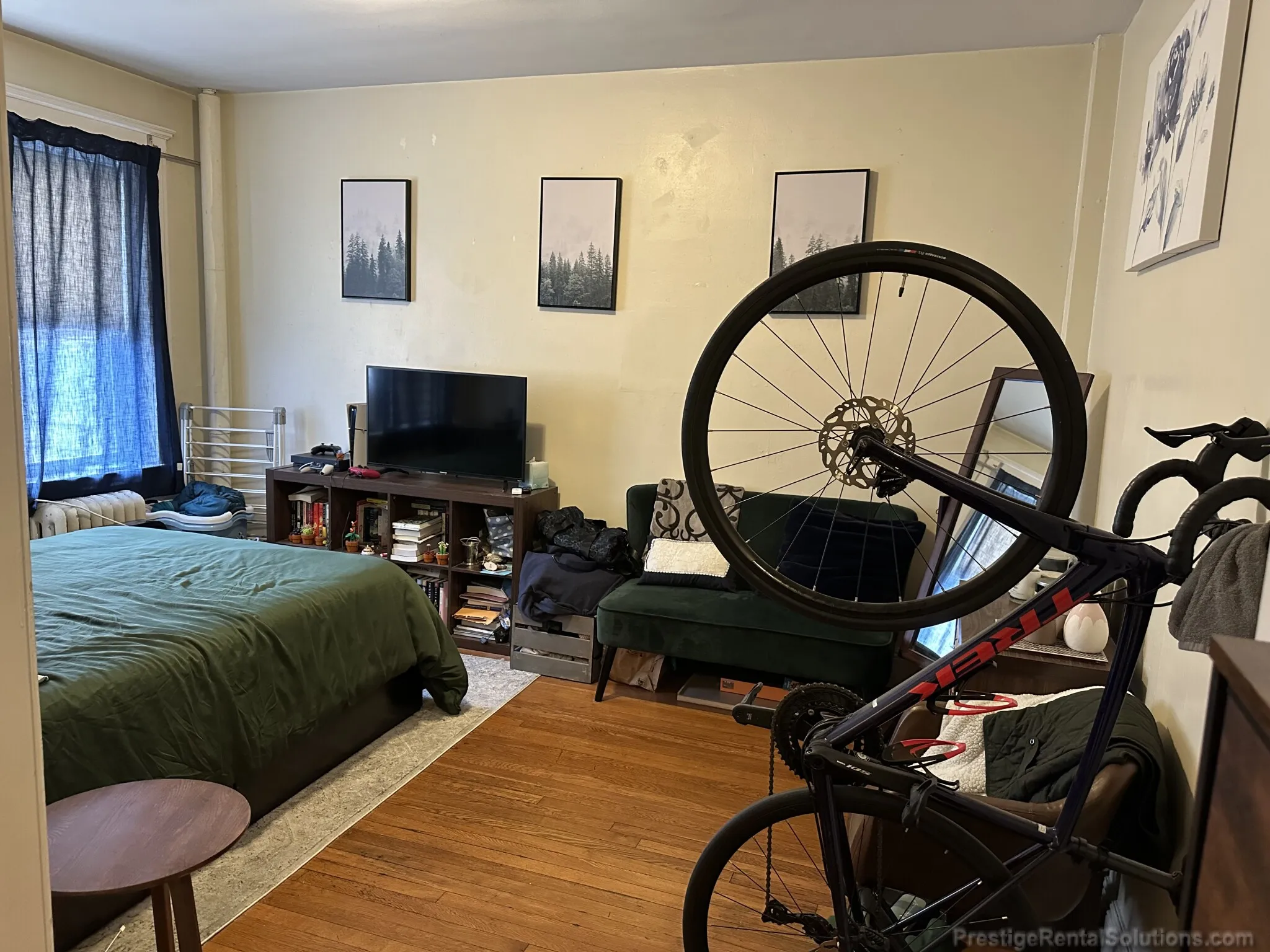 63 Woodstock Ave, Brighton