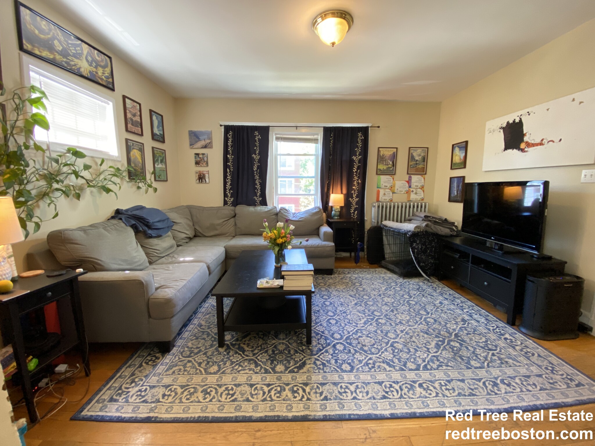 12 Saint Peter St, Jamaica Plain