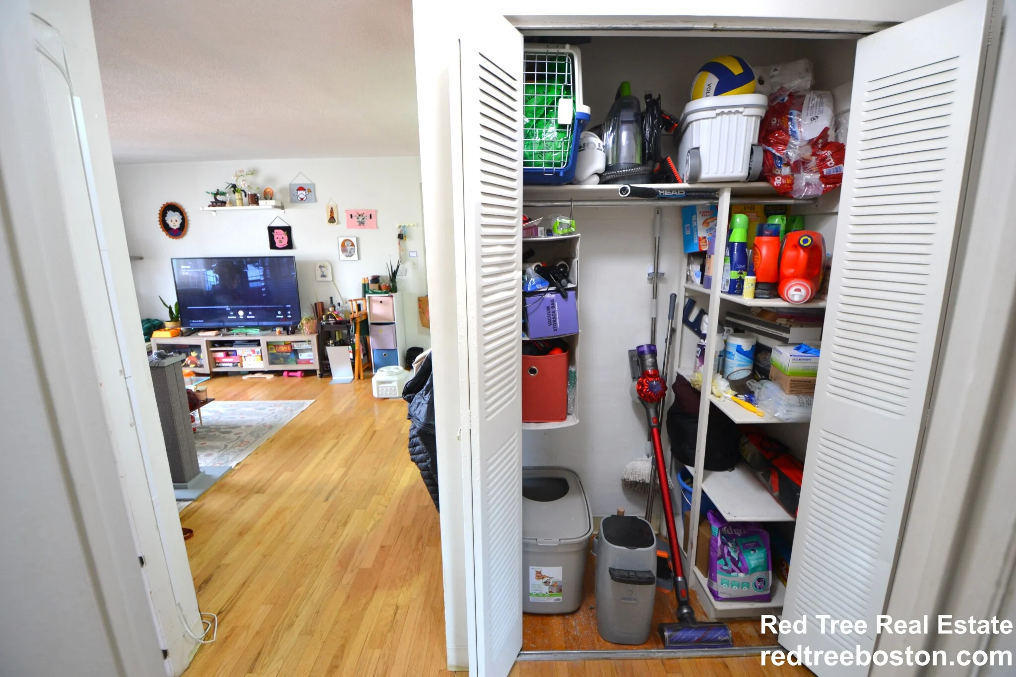 290 Corey Rd, Brighton