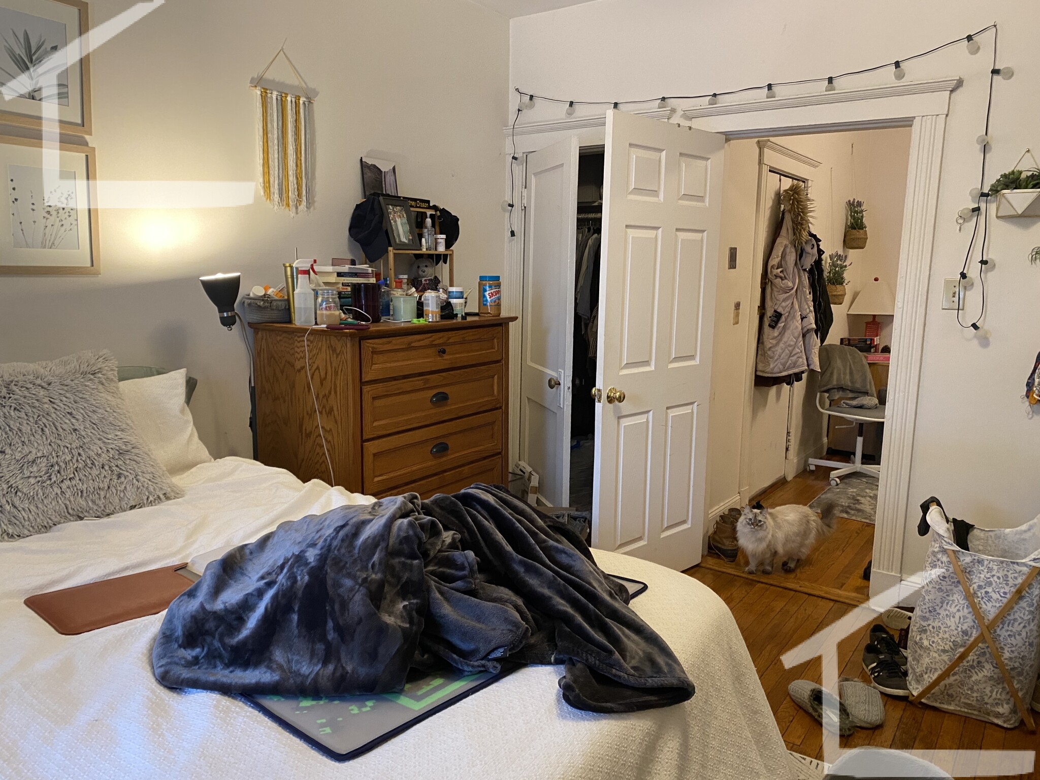 17 Cummings Rd, Brighton