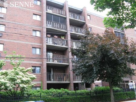 12 Ellery St, Mid-Cambridge