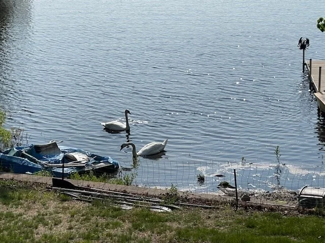 25 Sturges Rd, Massapoag Lake