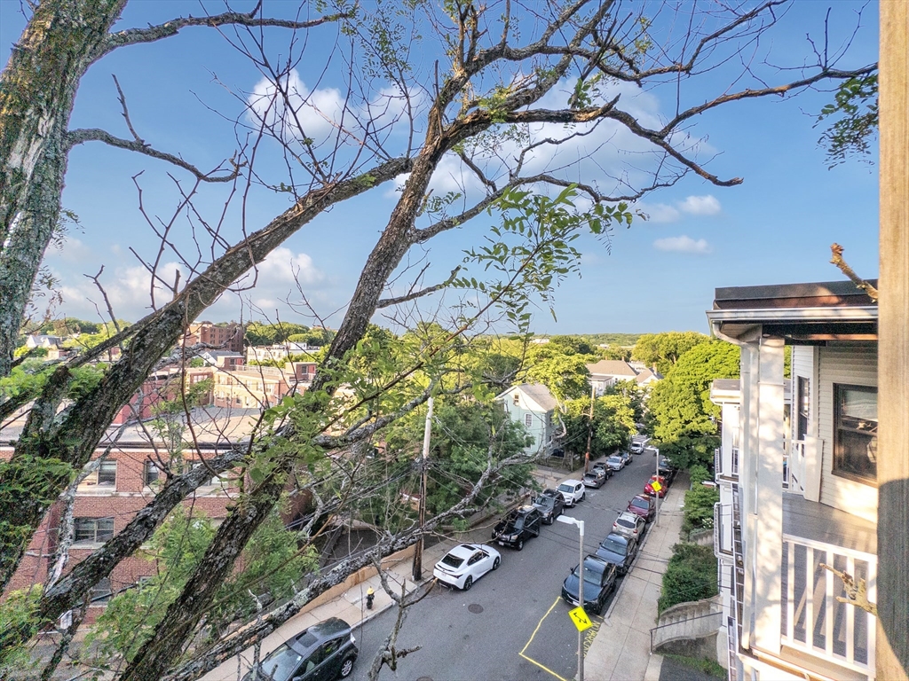 26 St Rose St, Jamaica Plain