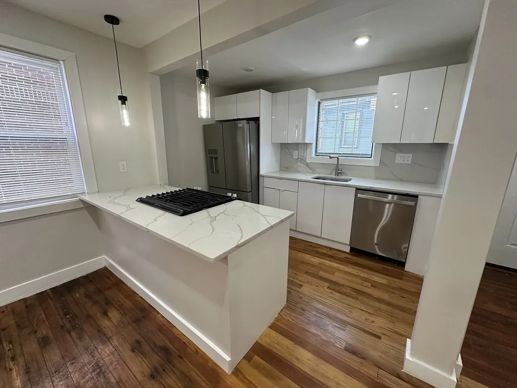 34-36 Abbotsfield St, Roxbury