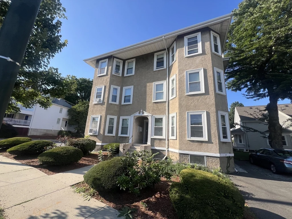 229 Belmont St, Belmont