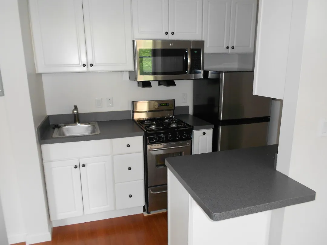 18 Haviland St, Fenway