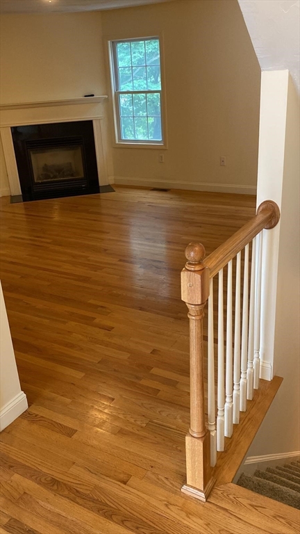 67 Princeton St, Chelmsford