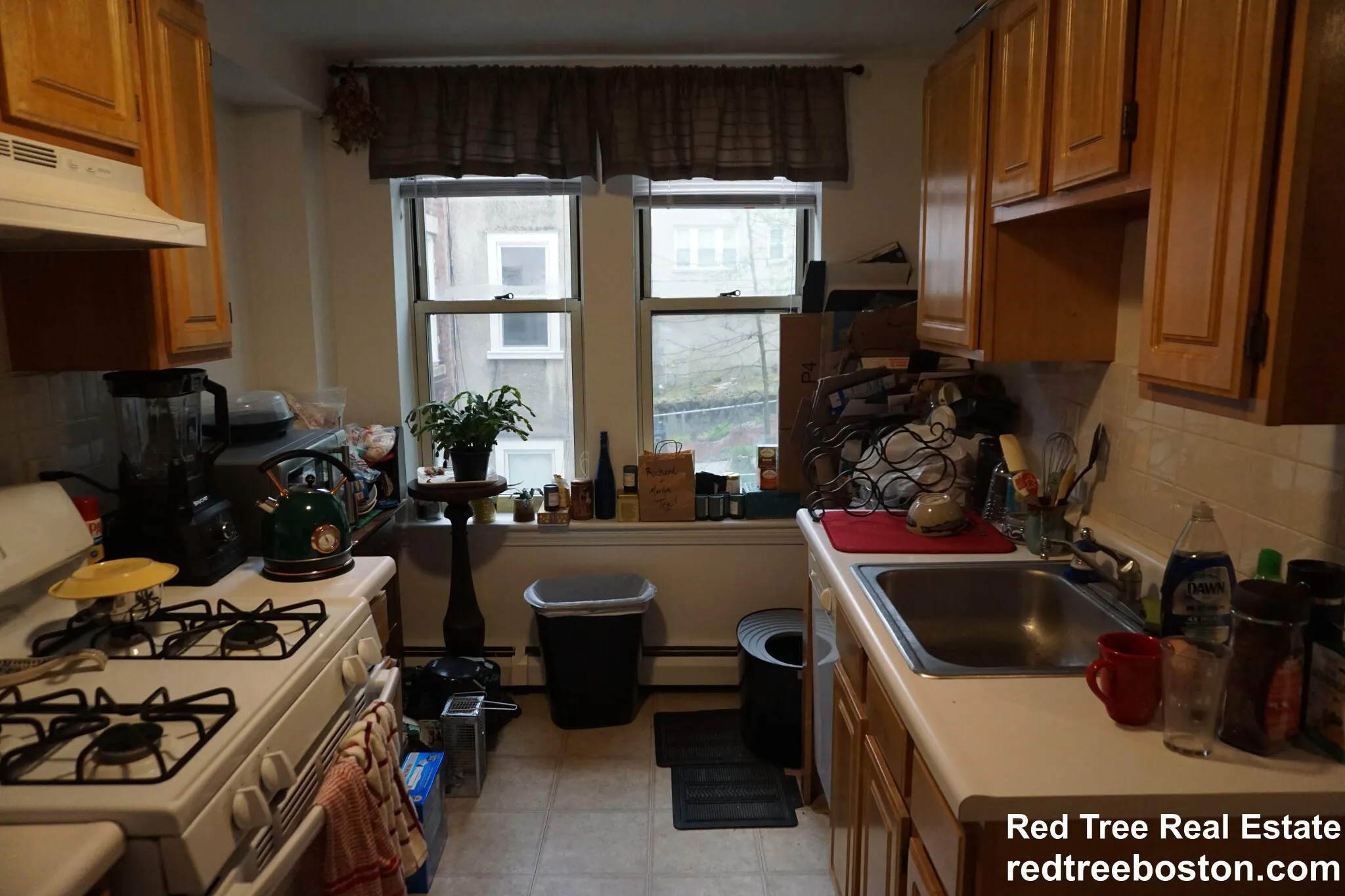 20 Colborne Rd, Brighton