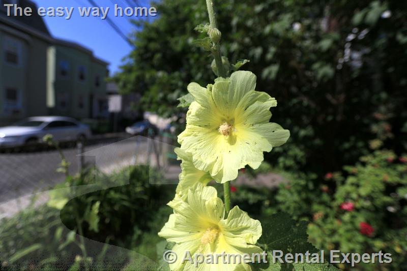 128 Pine St, Central Square