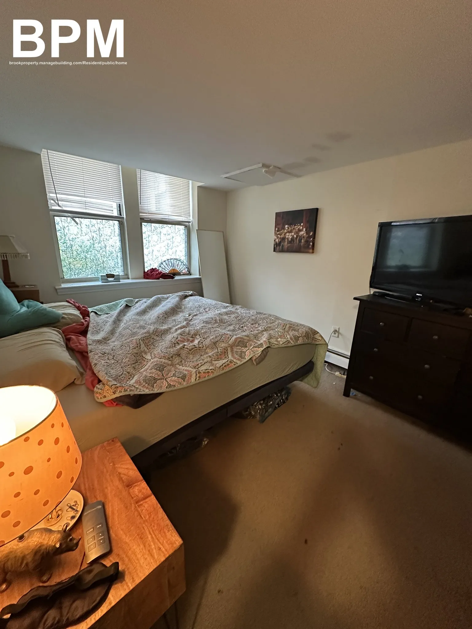 20 Colborne Rd, Brighton