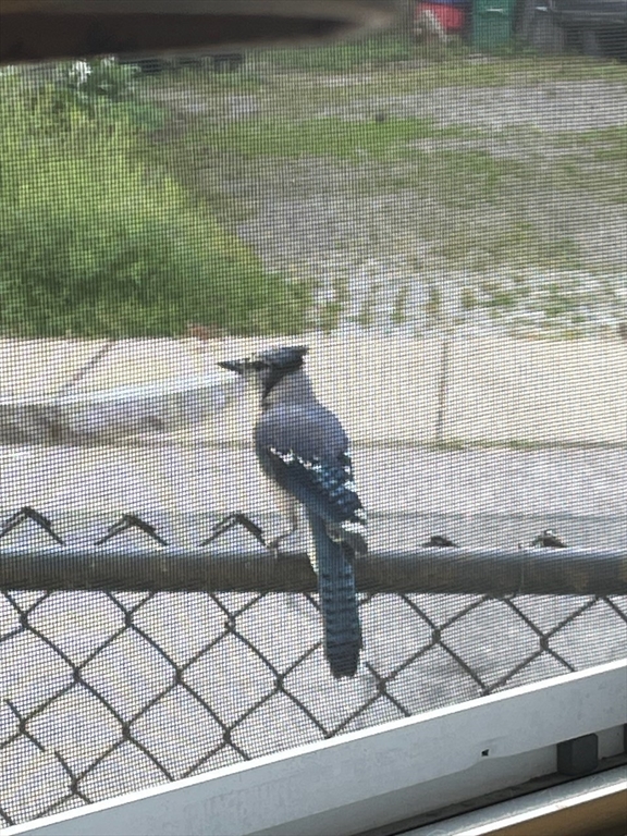 25 Andrew St, Cambridgeport