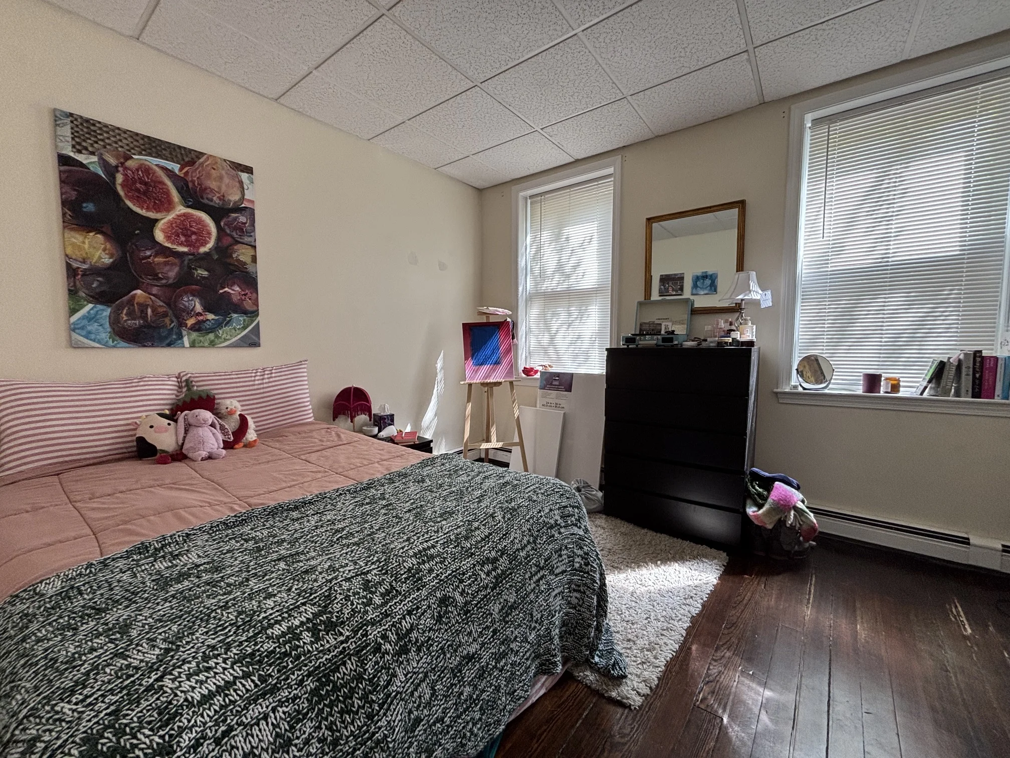 9 Grove St, Beacon Hill