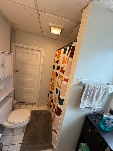 53 Elm St, Spring Hill