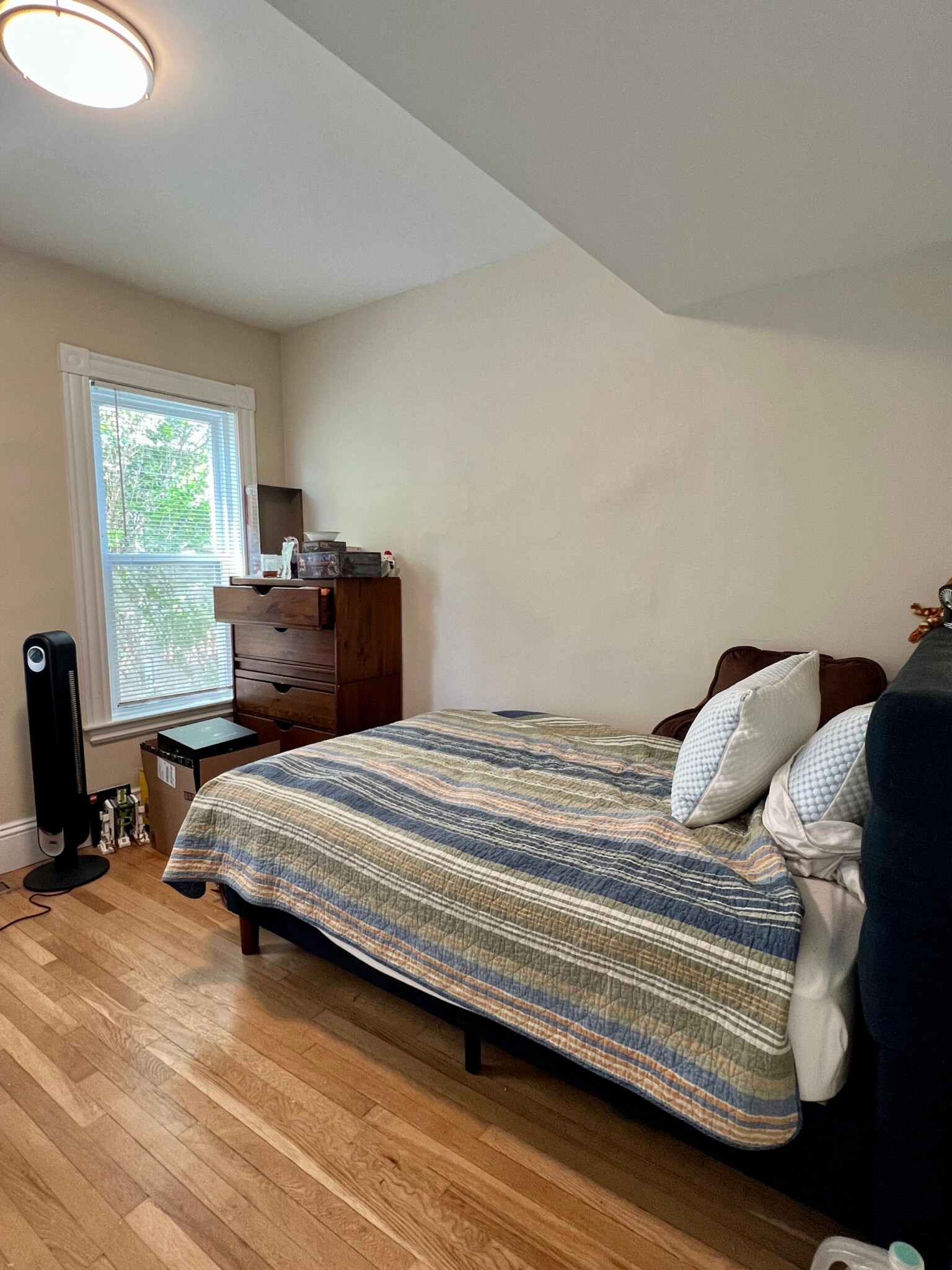 346 Summer St, Davis Square