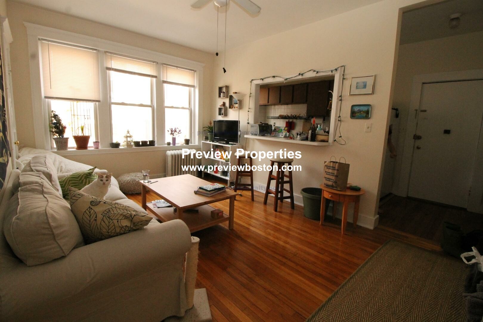 229 Kelton St, Allston