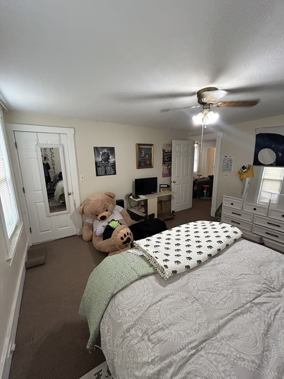 20 Gibbon St, Marlborough