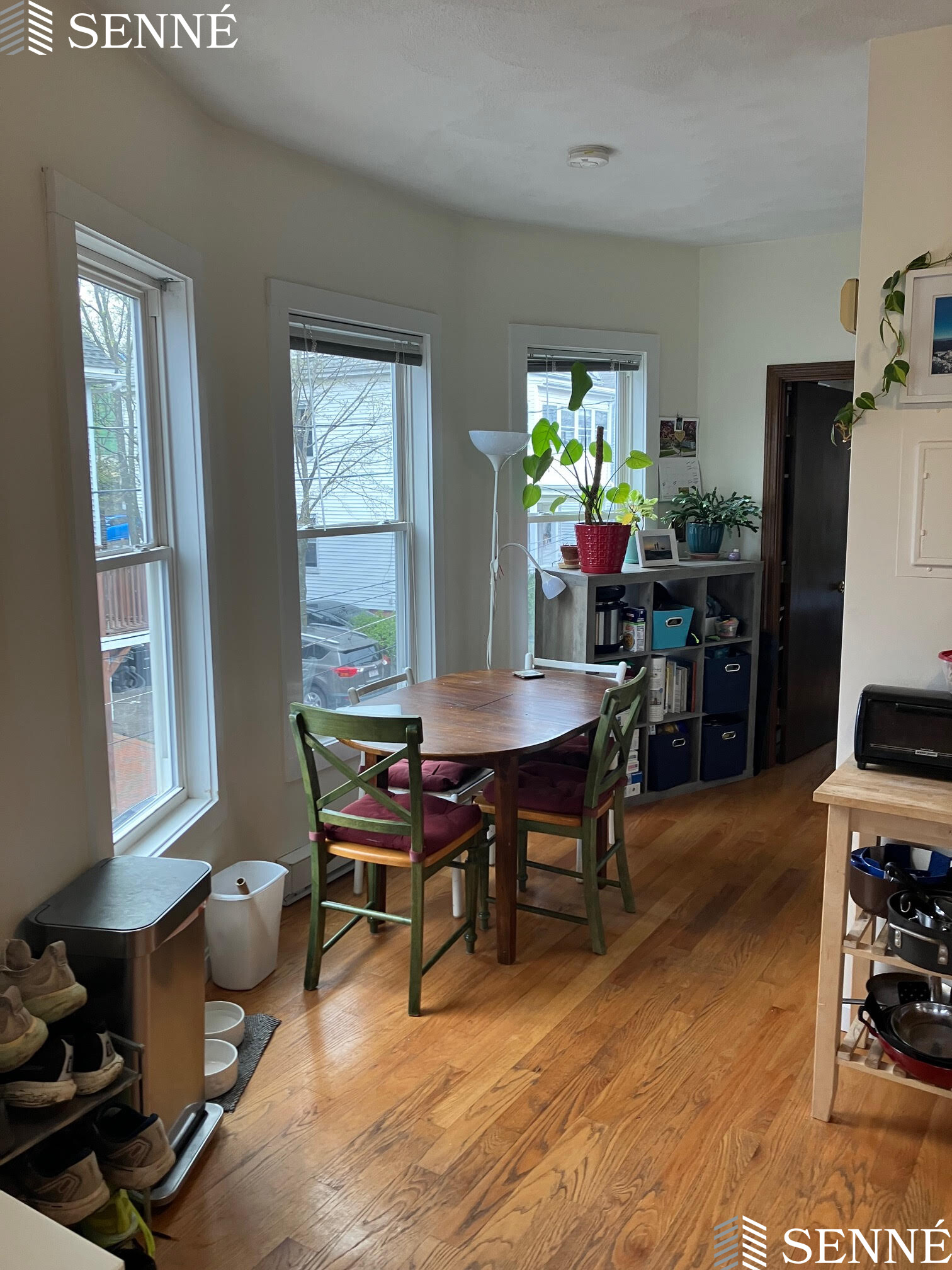 19 Linden Ave, Spring Hill