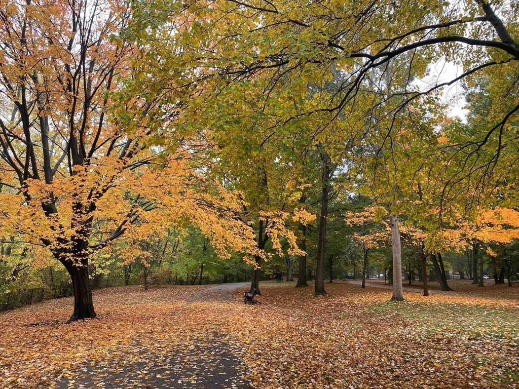 21 Edge Hill St, Jamaica Plain