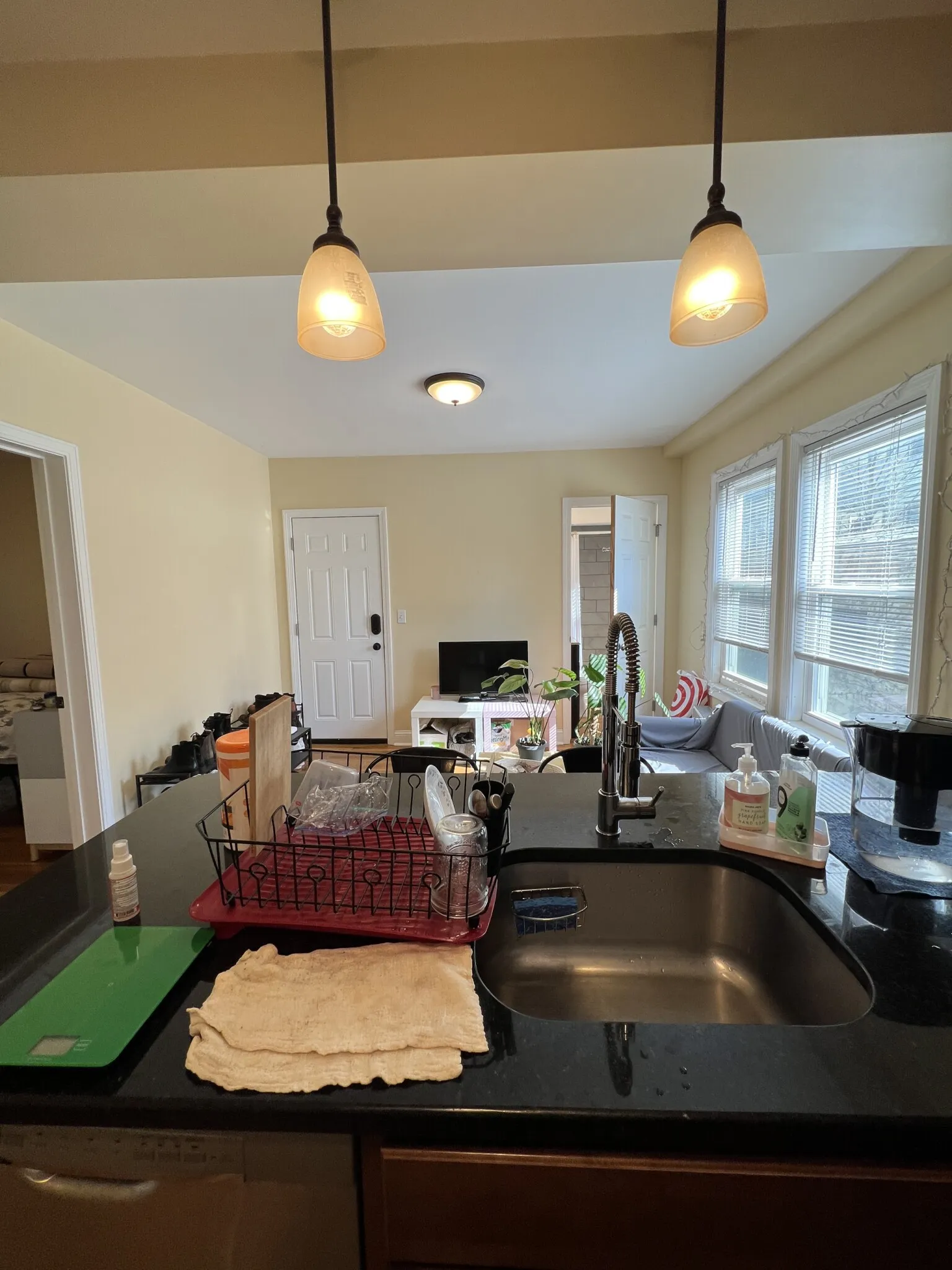 16 Silvey Pl, Spring Hill