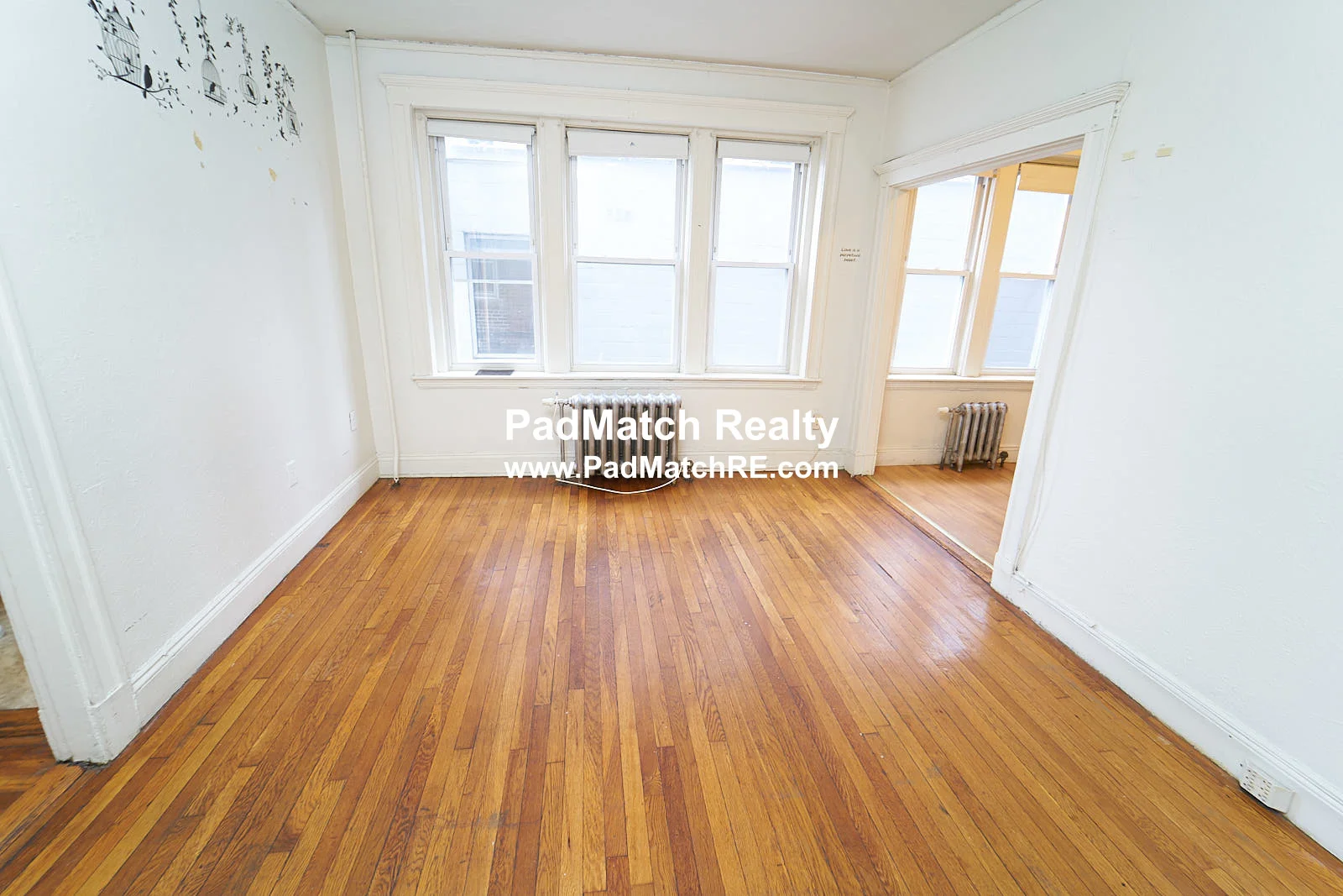 1163 Boylston St, Fenway