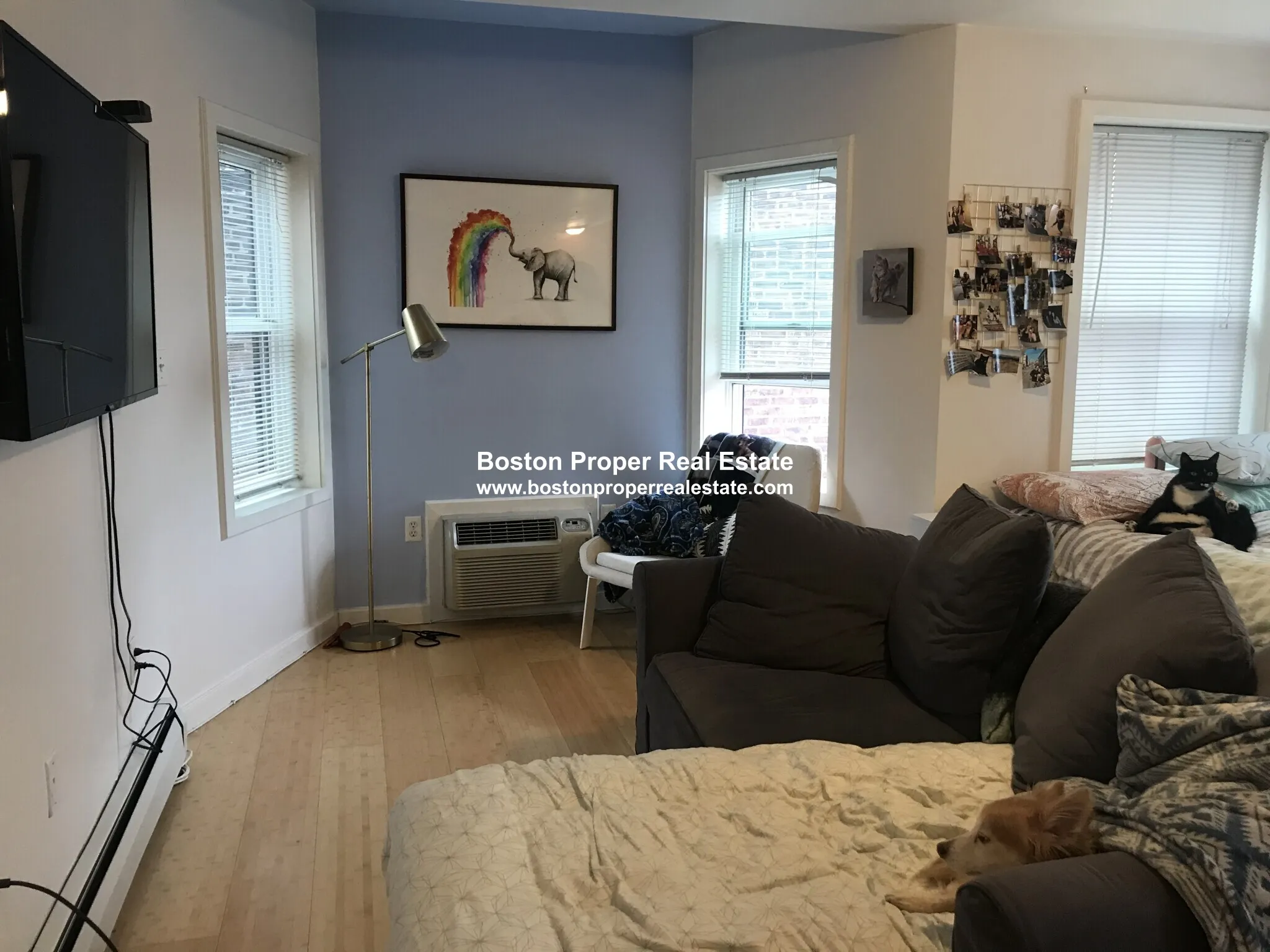 461 Park Dr, Fenway