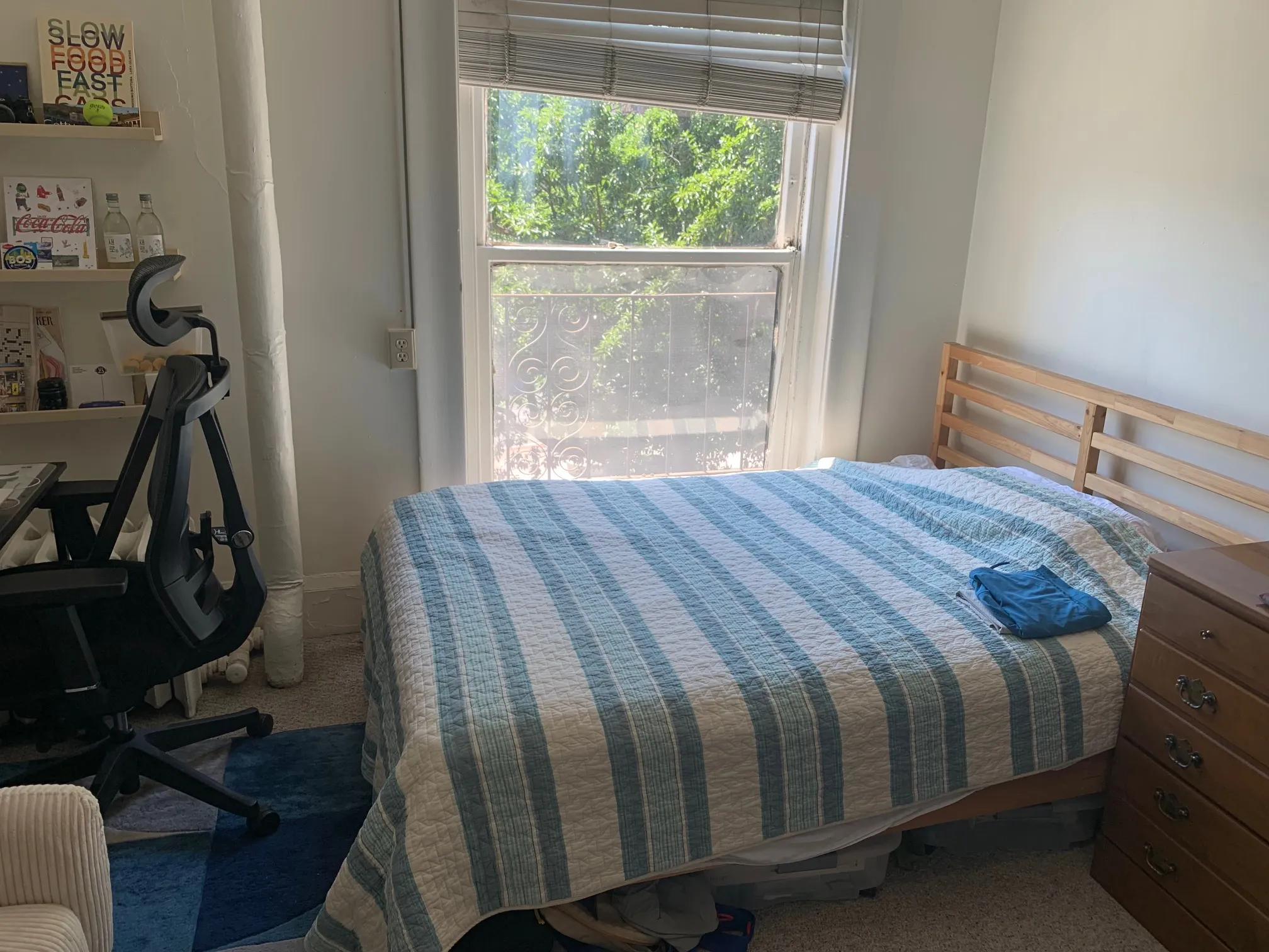 15 Bay State Rd, Fenway