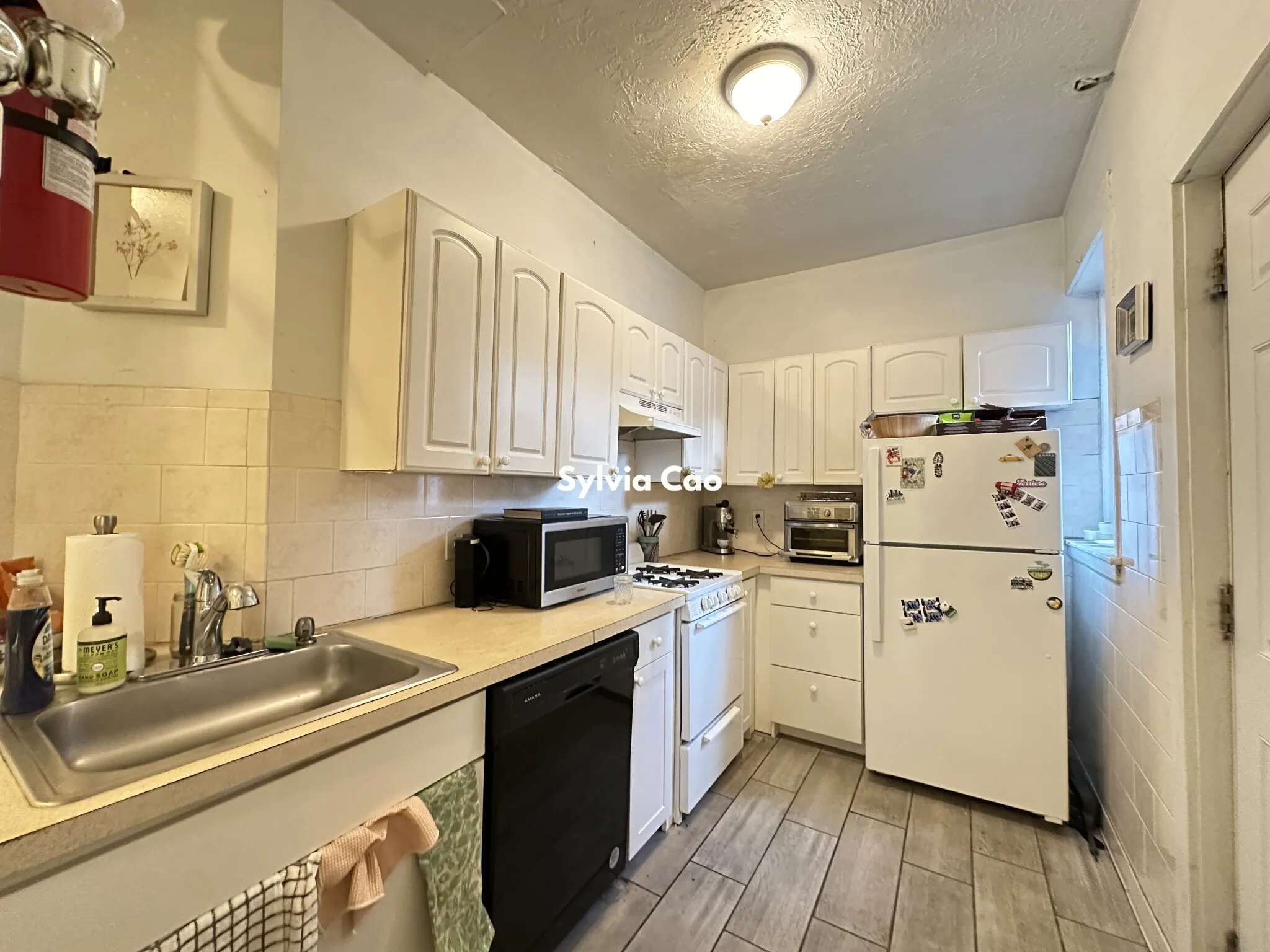 56 Egmont St, North Brookline