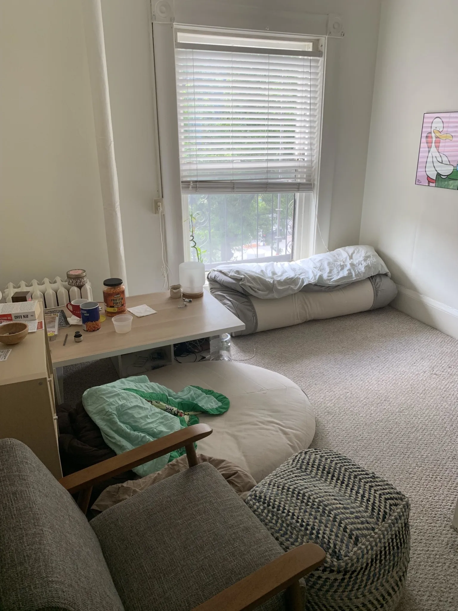 15 Bay State Rd, Fenway