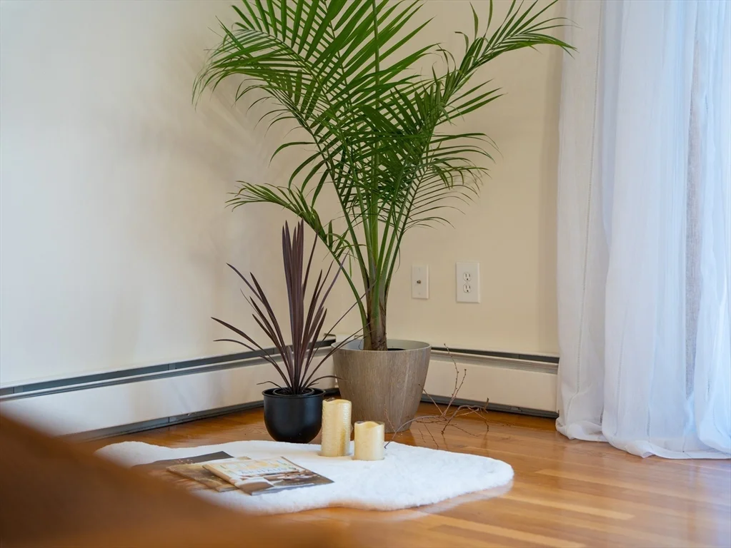 82 Camelot Dr, Worcester