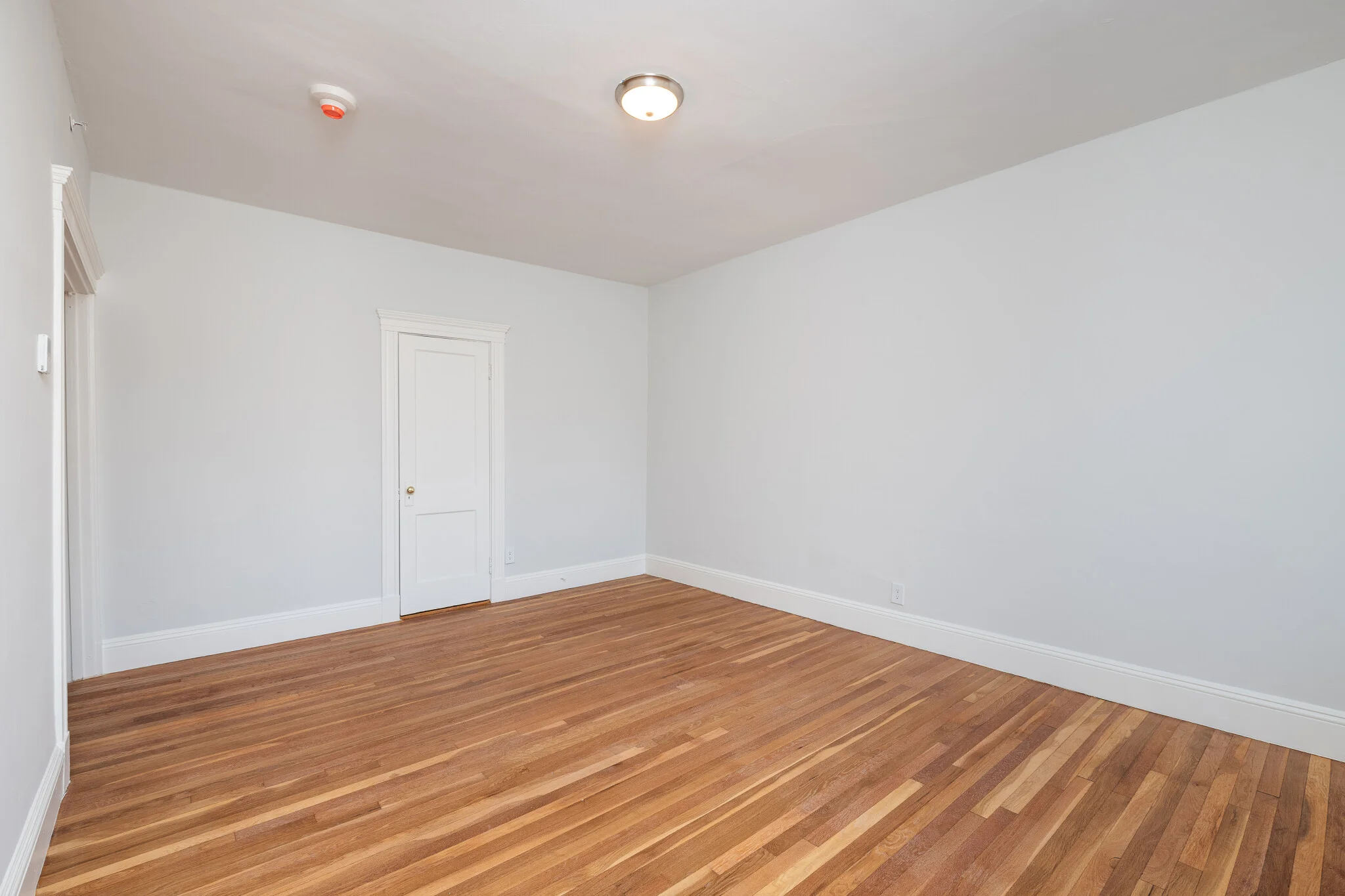 18A Forest St, Baldwin