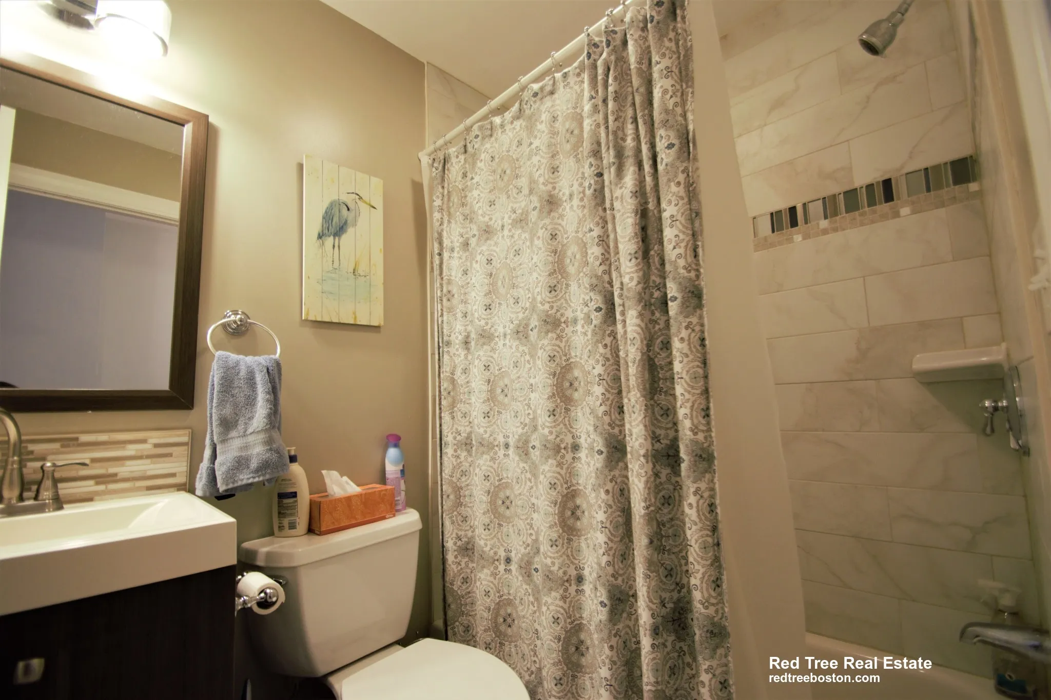 11 Babcock St, North Brookline