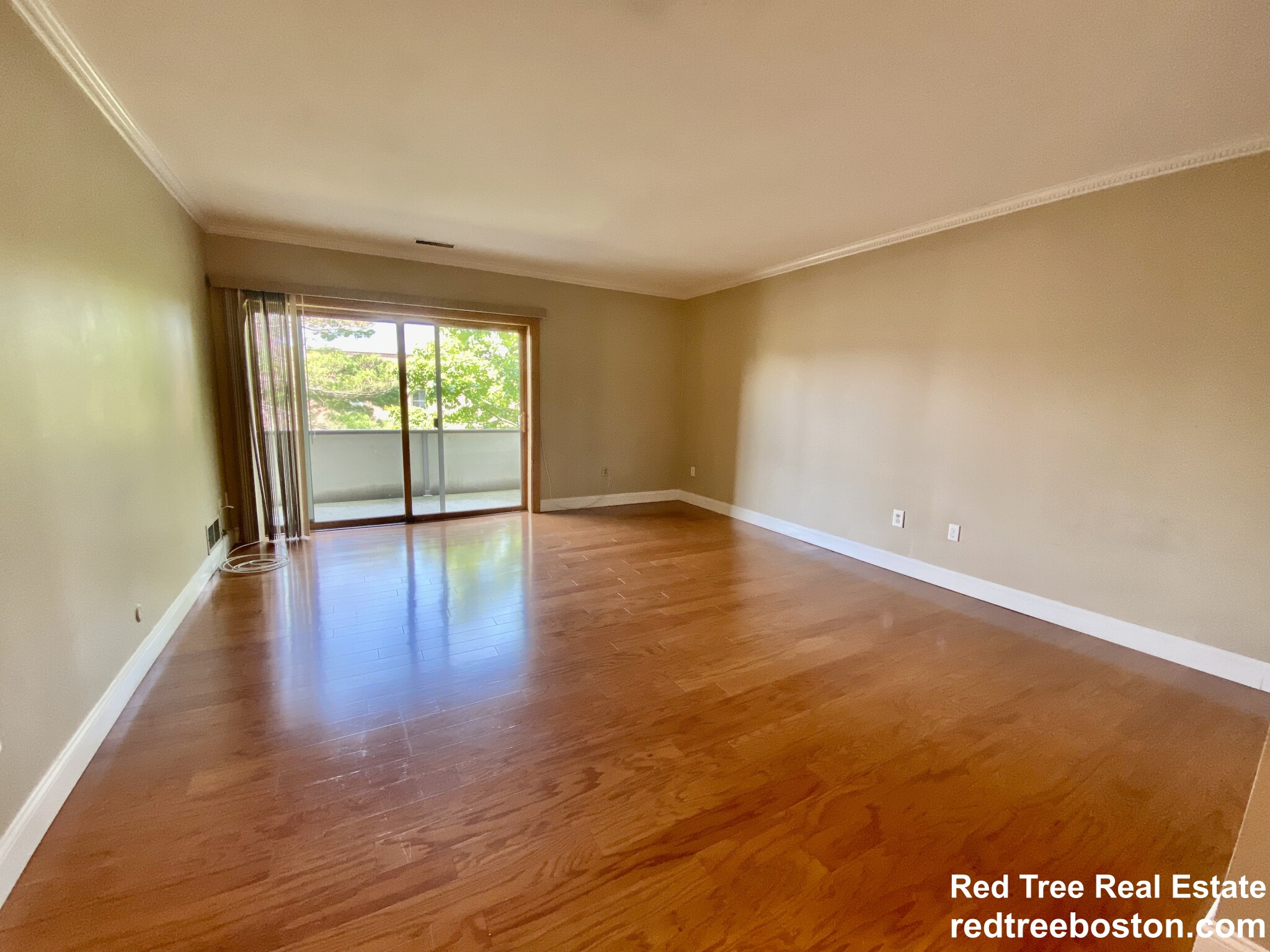 20 Stearns Rd, Coolidge Corner