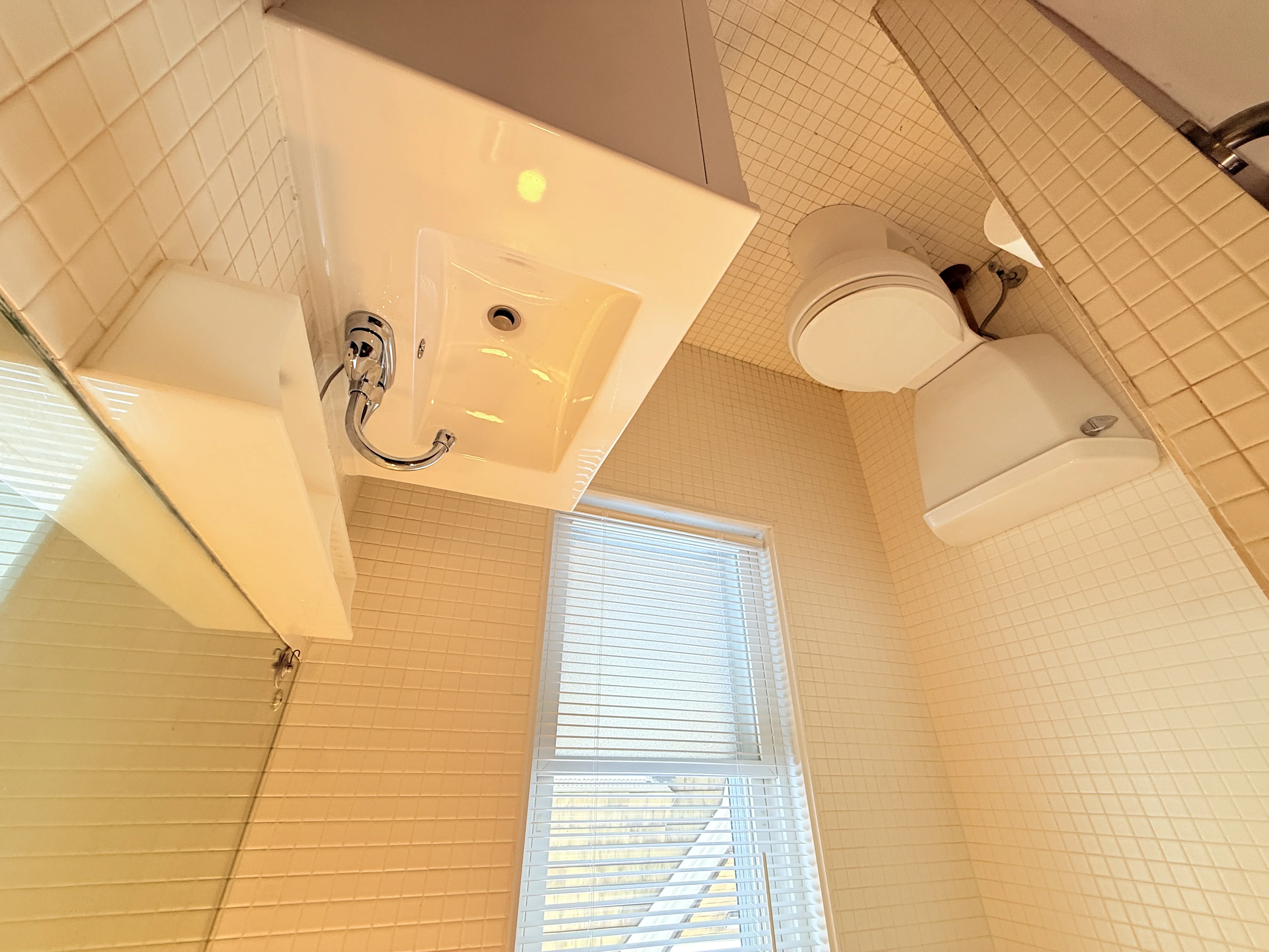 10 Packard Ave, Teele Square