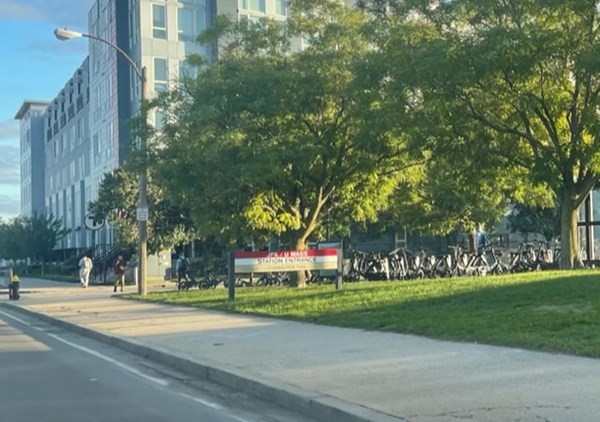 41 Moseley, Dorchester