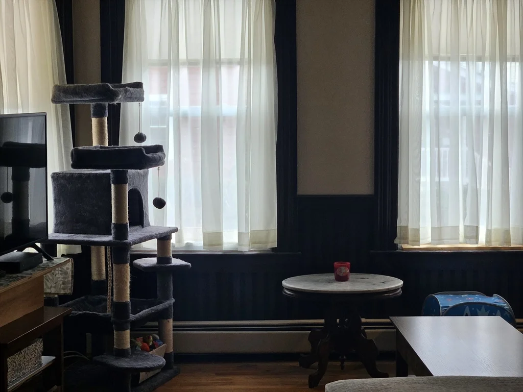 42 Sumner St, Marlborough