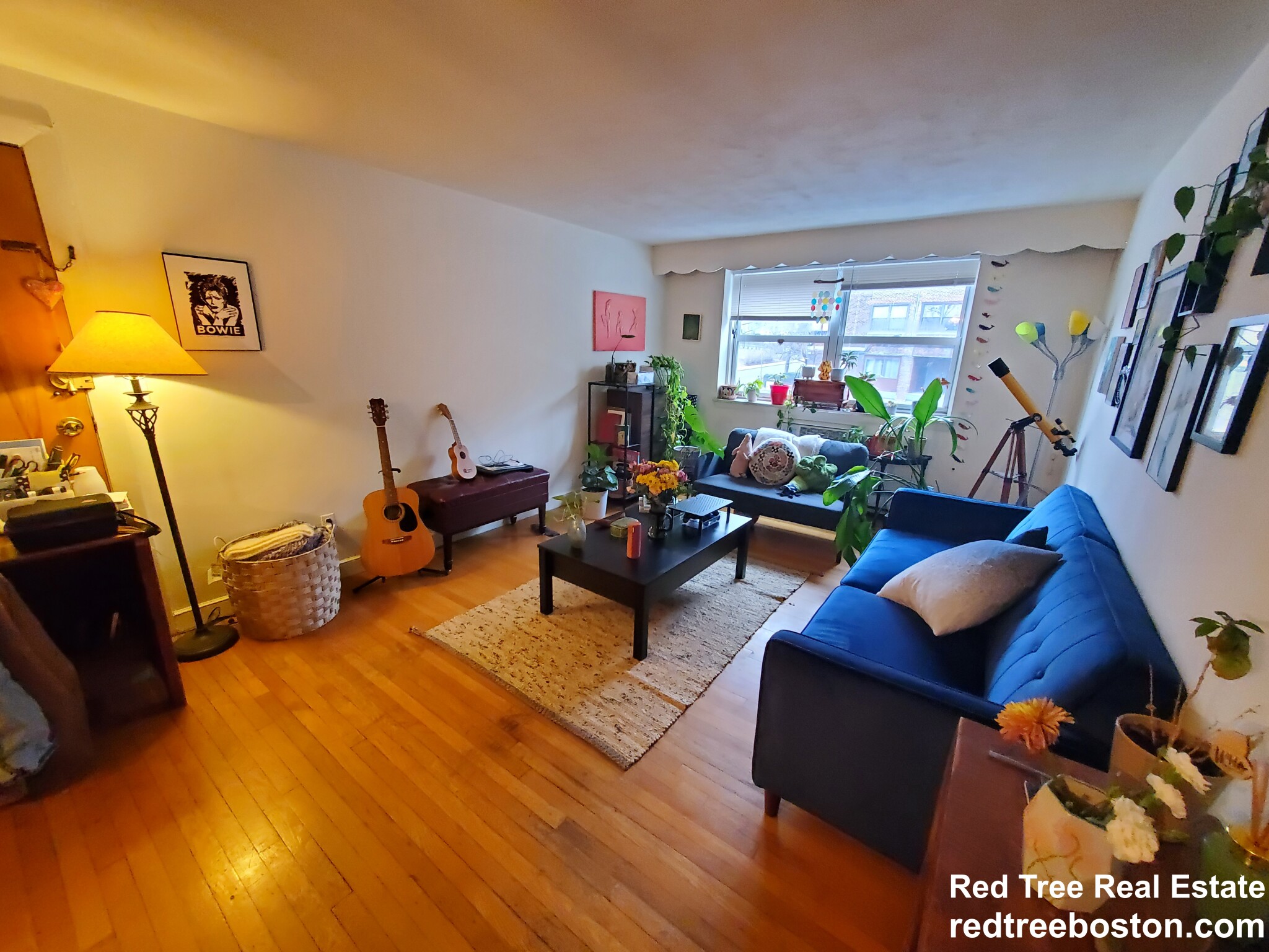 15 Commonwealth Ct, Brighton