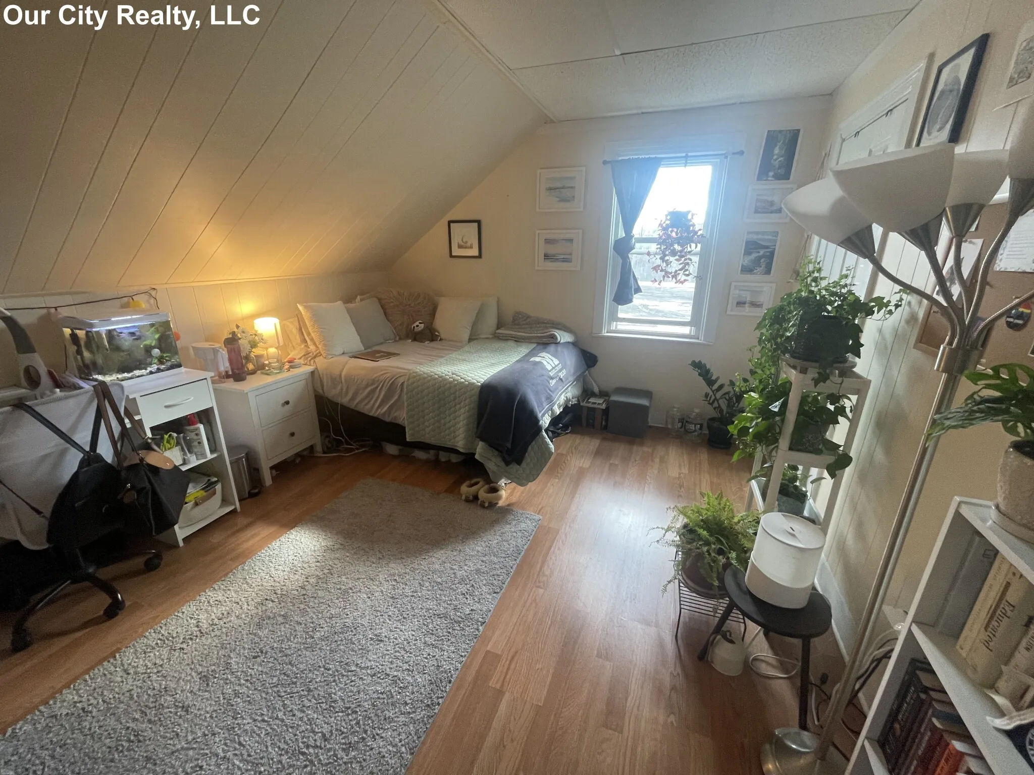 99 Norfolk St, The Port