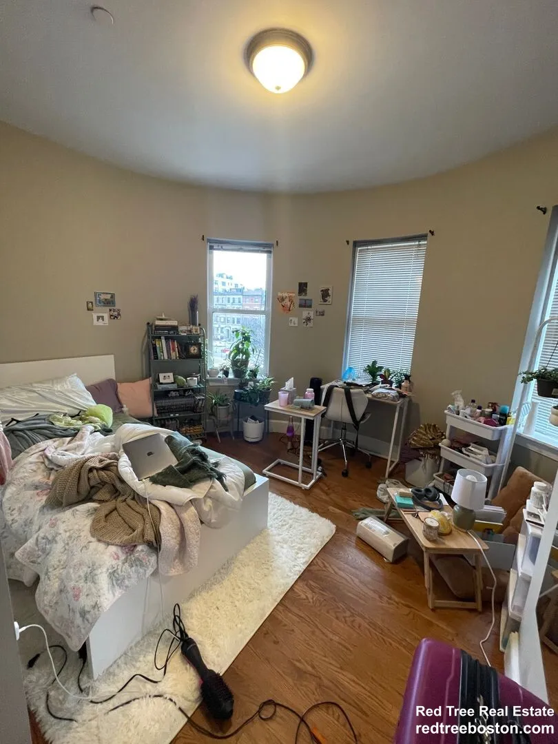 497 Commonwealth Ave, Fenway