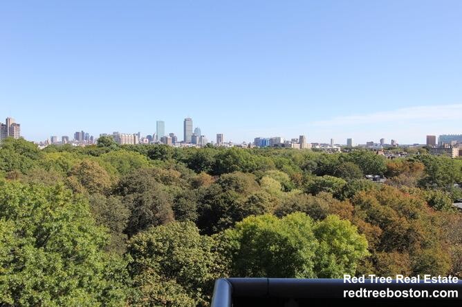 185 Freeman St, North Brookline