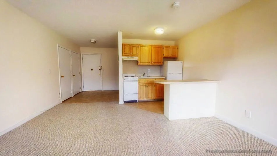 66 Homer Ave, West Cambridge