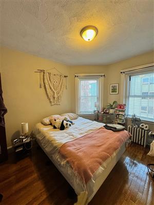 12 Wendell St, Baldwin