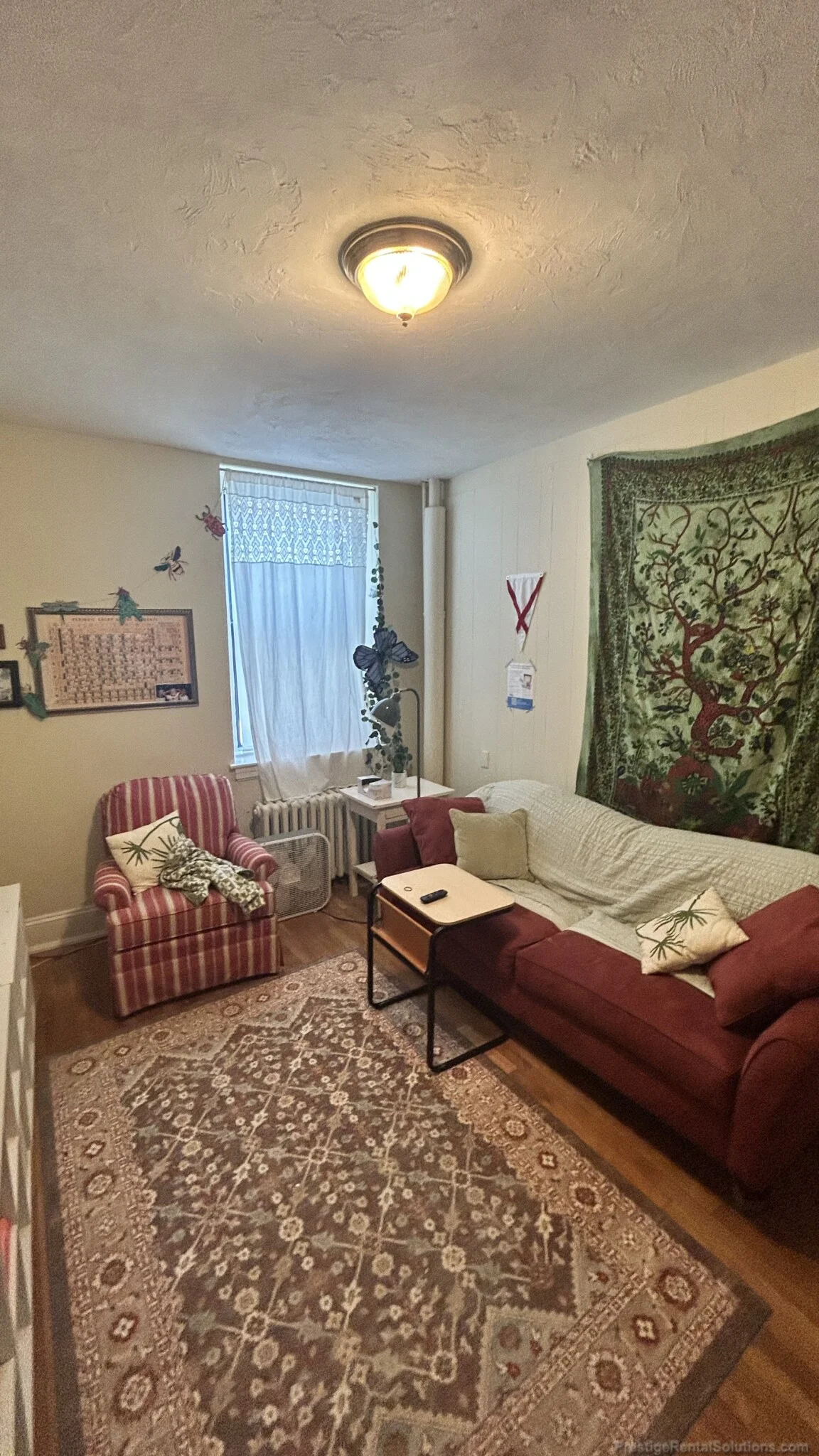 223 Essex St, Melrose