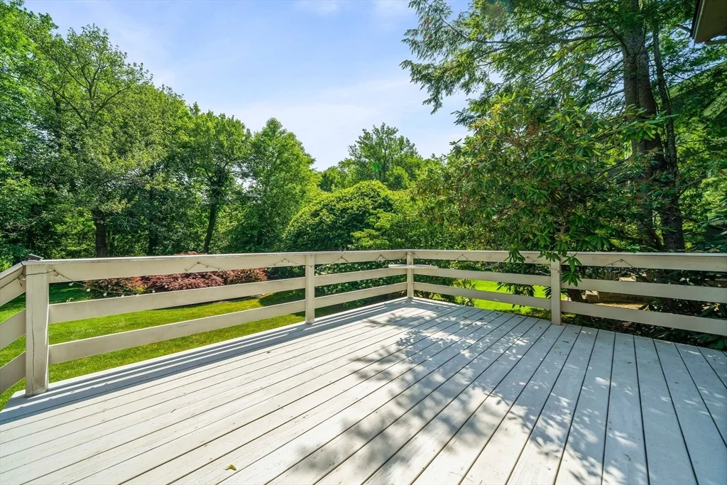 37 Harwich Rd, Newton