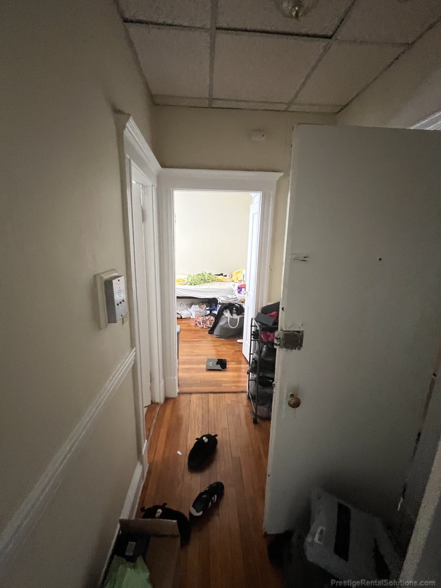 159 Kelton St, Brighton