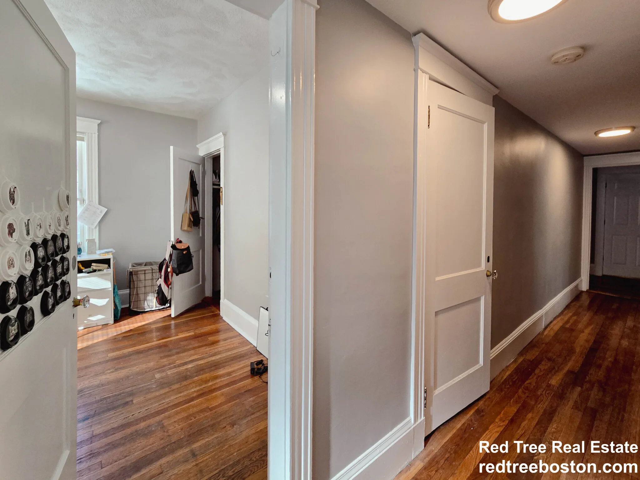 229 Chestnut Hill Ave, Brighton