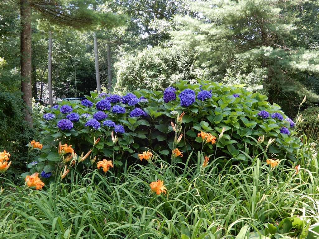 9 Fleetwood Dr, Norfolk